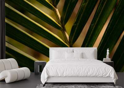 Palm leaf Wall mural