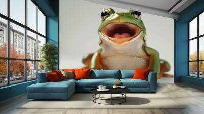 frog day animal frog Wall mural