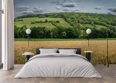 Ottrott, France - 06 27 2023: Panoramic view of wheat and corn fields and vineyards on top of the hill behind. Wall mural