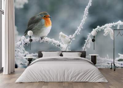 Christmas robin Wall mural