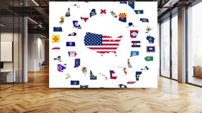 states of the usa Wall mural