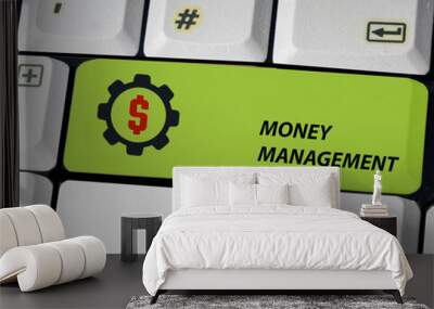 money management Wall mural