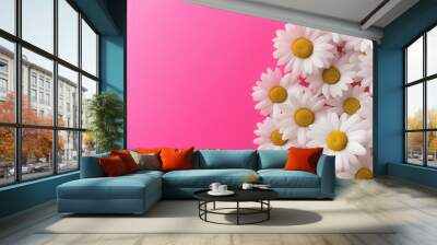 daisies on a pink background with empty space Wall mural