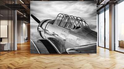 historical airplane on the ground Wall mural