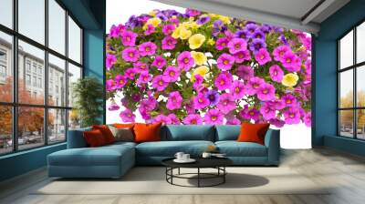 petunia flowers isolated on transparent background Wall mural