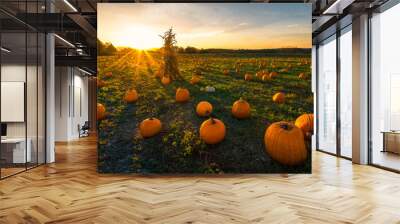 Pumpkin patch on a late afternoon in early autumn Wall mural