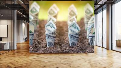 Dollar bill plant growth from ground.Concept of money tree growing from American dollars Wall mural