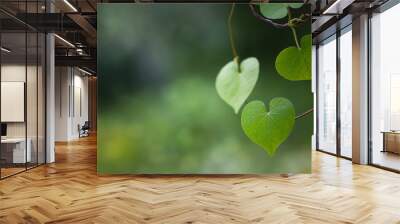 Romantic tree shape with heart shaped leaves, green leaf heart shape. Wall mural