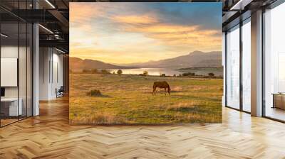 Rural scene at sunset Wall mural