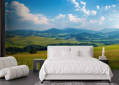 panoramic  beautiful  meadows landscape , with mountains and , green grass, on a sunny day, a blue sky with clouds Wall mural