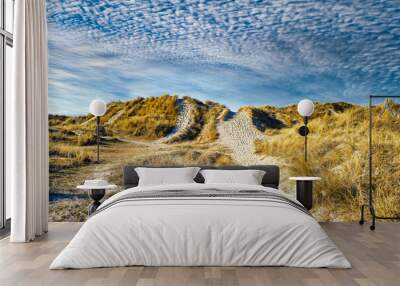 Dunes at the North Sea coast in Rindby at Fanoe, Denmark Wall mural