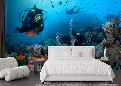 Group of divers exlpore colorful coral reef. Wall mural