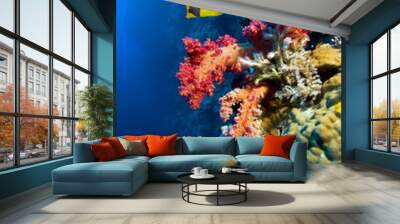 Underwater image of coral reef and Masked Butterfly Fish Wall mural