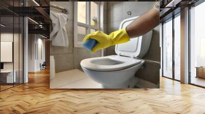 mano persona che pulisce wc bagno guanti  Wall mural