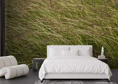 Wet Long Grass Wall mural