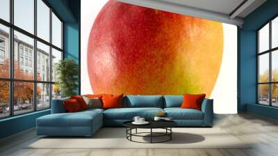 mangue 2 Wall mural