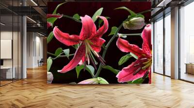 Impression de lilium Miss Feya Wall mural