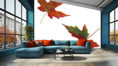 maple leaves - 2 Wall mural