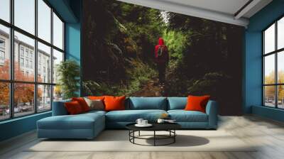 hiker in the forest Wall mural