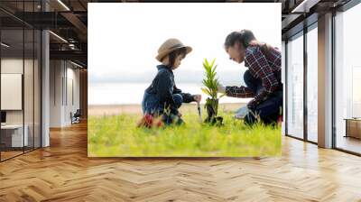 Asian  kid daughter helping mother water and sapling  the plant tree outdoors in nature spring  Wall mural