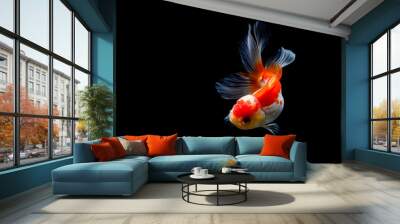 goldfish isolated on a dark black background Wall mural