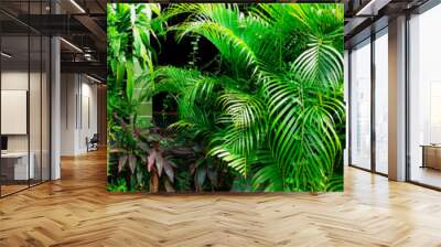 background with various tropical plants. Fresh tropical garden plants for wallpaper. Wall mural