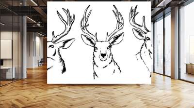 Hand-drawn deer heads lineart with details of feathers and shadows. isolated on white background, Design element for emblem, cover, background, sign, poster, label. Vector illustration Wall mural