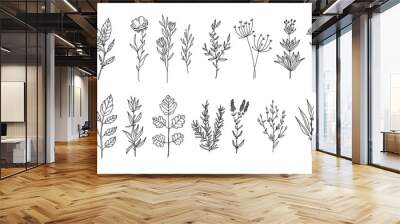 plant and floral lineart illustration for romatic decoration or stock of wedding print, flower vector bundle Wall mural