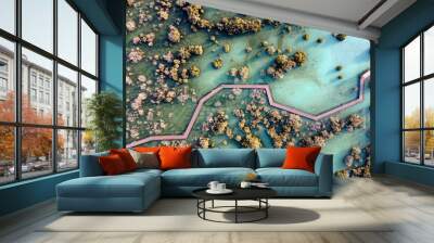 Aerial view of mangroves in Abu Dhabi. Special eco system, natural environment. Wall mural