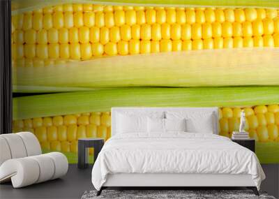 Background, two ears corn closeup. Wall mural