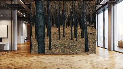 Burned forest, charred trees, forest fires and environmental disaster. Wall mural