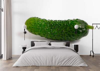 Fresh vegetable, cucumber on a white background in an isolate with shadows. Wall mural