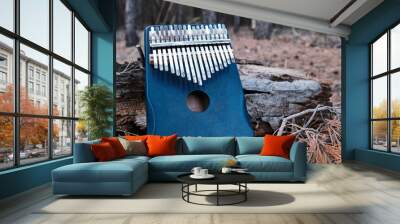 Kalimba is an African musical instrument in forest near tree. Wall mural