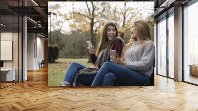 Medium shot of two women talking in the park with phones Wall mural