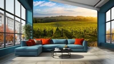 Sunset landscape, Bordeaux wineyard, Langoiran, france Wall mural