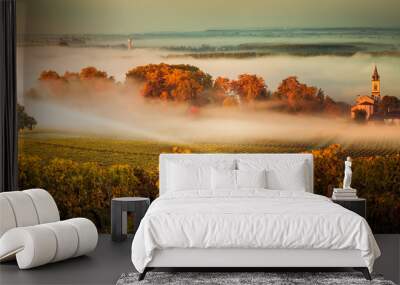 Sunset landscape bordeaux wineyard france Wall mural