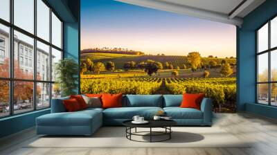 Sunset landscape bordeaux wineyard france Wall mural