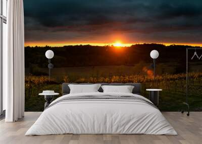 Thunderstorm with sunset in grape field. Wall mural