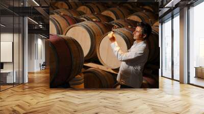 tourism - man tasting wine in a cellar-winemaker Wall mural