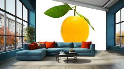 fresh orange on a white background Wall mural