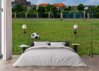 soccer ball and goal of a grass soccer field Wall mural