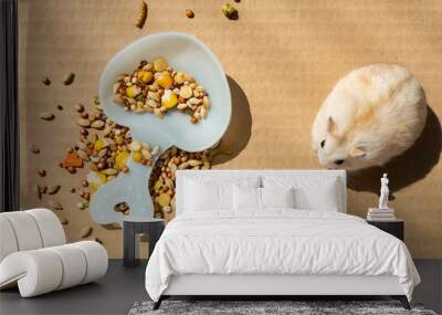 top view hamster near various food Wall mural