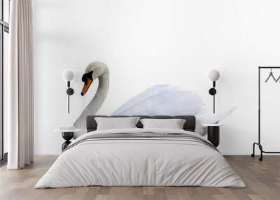 Beautiful swan isolated on white background Wall mural