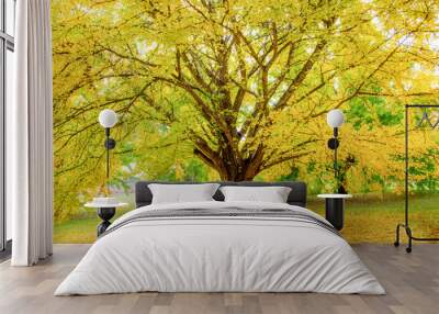 Large yellow tree Wall mural