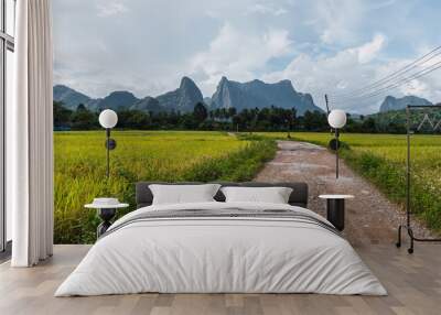 path with green rice field in Vang Vieng, Laos Wall mural