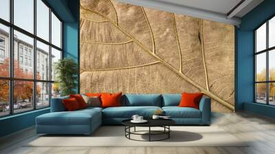 Dried brown leaf pattern. Close up of brown leaf texture. Patterned background Wall mural