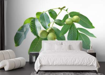 Branch with leaves and green walnuts Wall mural