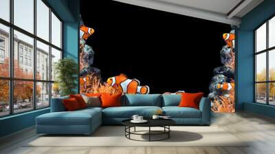 Sea anemone and clown fish Wall mural