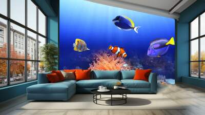 Sea anemone and clown fish Wall mural