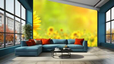 sunflower on blurred sunny nature background. horizontal agriculture summer banner with sunflowers f Wall mural